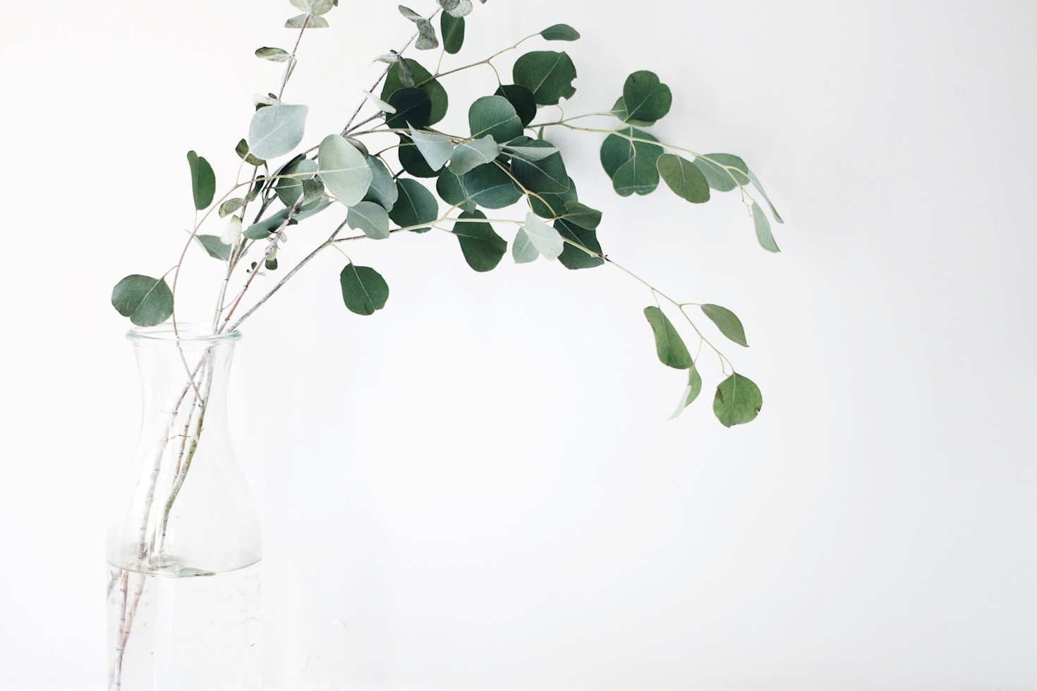Dietary Tips for Enhanced Focus and Productivity
